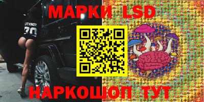 гидропоника Ачхой-Мартан