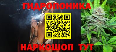 гидропоника Ачхой-Мартан
