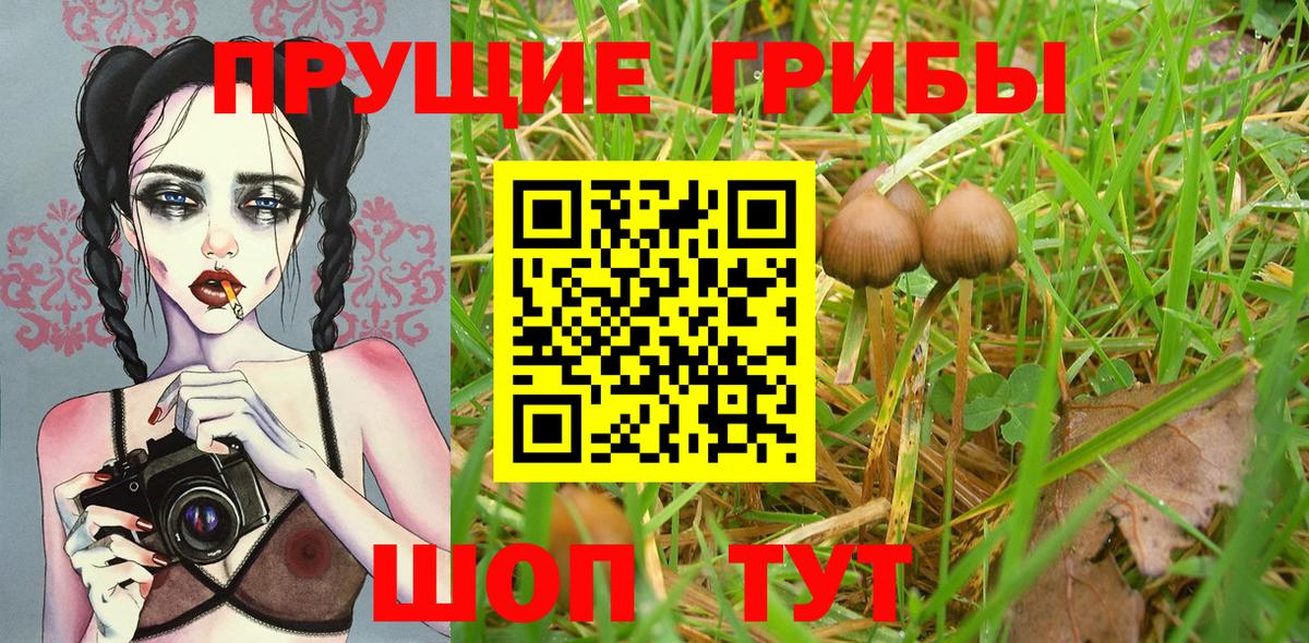 Галлюциногенные грибы MAGIC MUSHROOMS Канаш
