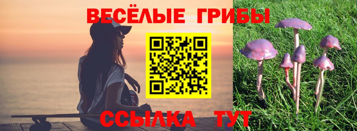 Канаш  Галлюциногенные грибы Psilocybe  Вход с VPN 