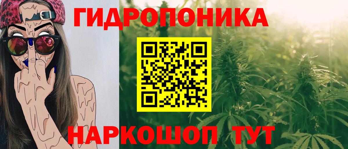 Канаш  Конопля ГИДРОПОН  Бошки Шишки сатива  Бошки Шишки марихуана  Вход с VPN 